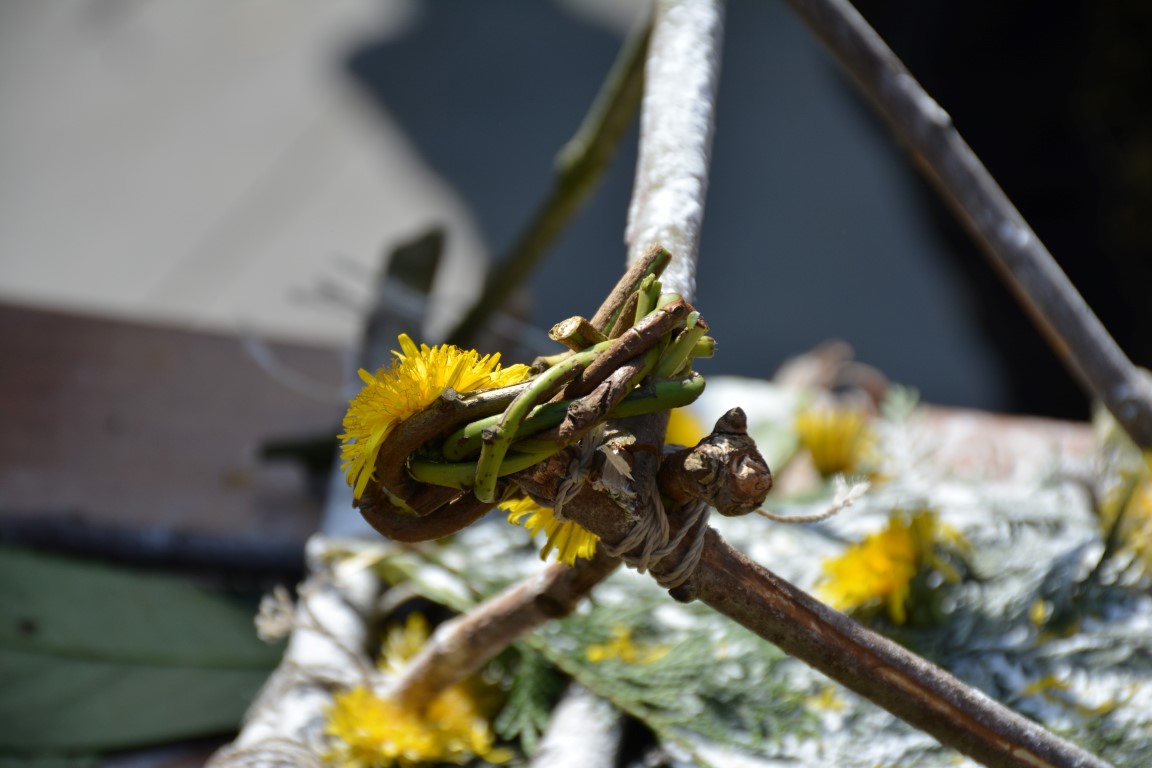 DSC_0741 (Medium).JPG